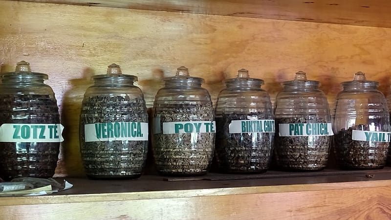 A row of small amber glass bottles with blank white labels standing on a laboratory bench under even light