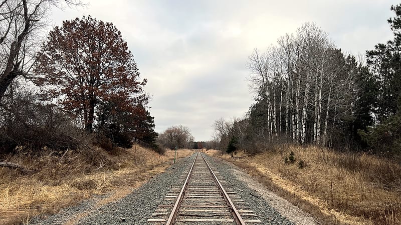 Two parallel steel rails on wooden ties curving through open ground under a pale overcast sky