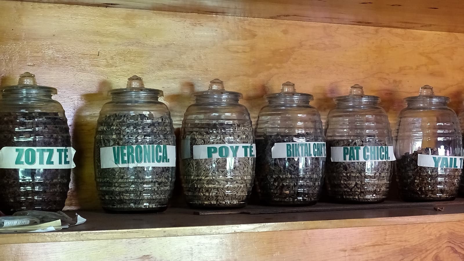 A row of small amber glass bottles with blank white labels standing on a laboratory bench under even light