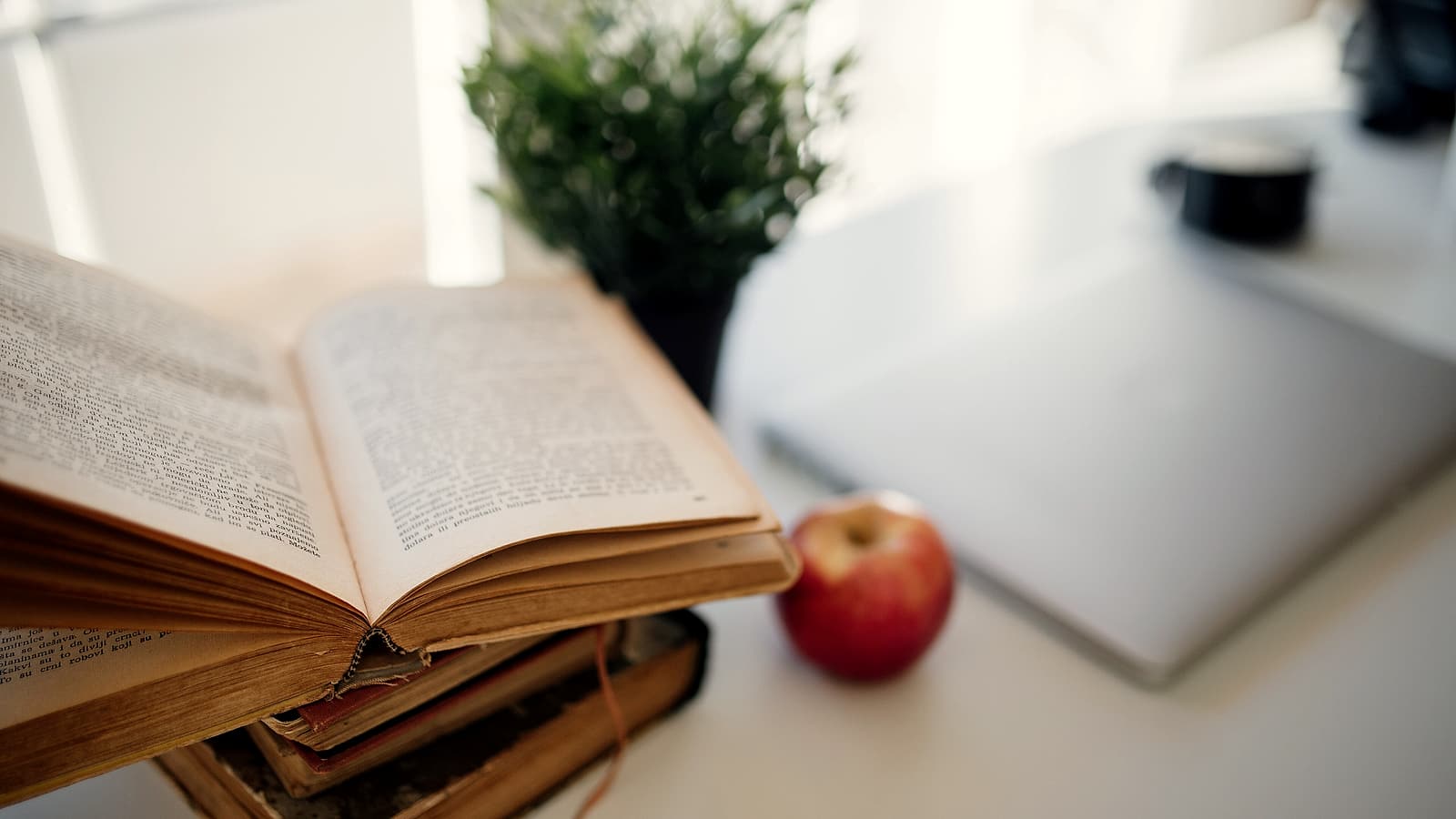 Two open books lying side by side on a desk with a ruler laid across the facing pages under lamplight